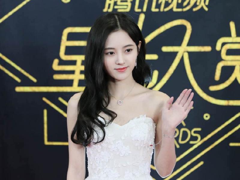 Featured image of post 年度新锐电视剧女演员