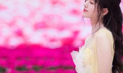 Featured image of post 兰蔻菁纯玫瑰奢享展