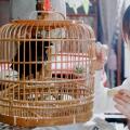 【鞠婧祎】电视剧《请赐我一双翅膀》插曲MV《在你身边》