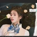 【鞠婧祎】2023年生日大屏+新剧宣传大屏