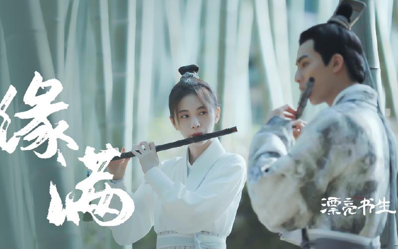 Featured image of post 【鞠婧祎】【宋威龙】风雪cp|蜜雪冰承不甜不要钱